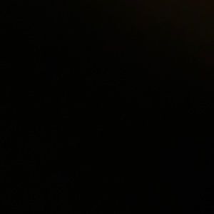 Meet your Posher, Bee